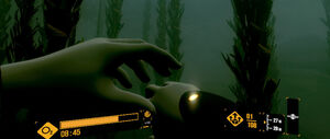 'Deep Diving VR' game screenshot