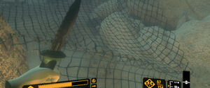 'Deep Diving VR' game screenshot