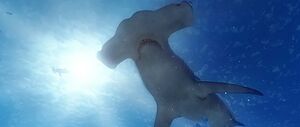 'theBlu' game screenshot